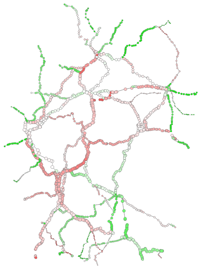 Bild1